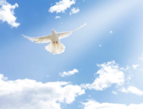 The Fire That Changes Everything: Understanding Pentecost’s Power